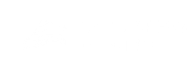 Swift Cargos. Logistic